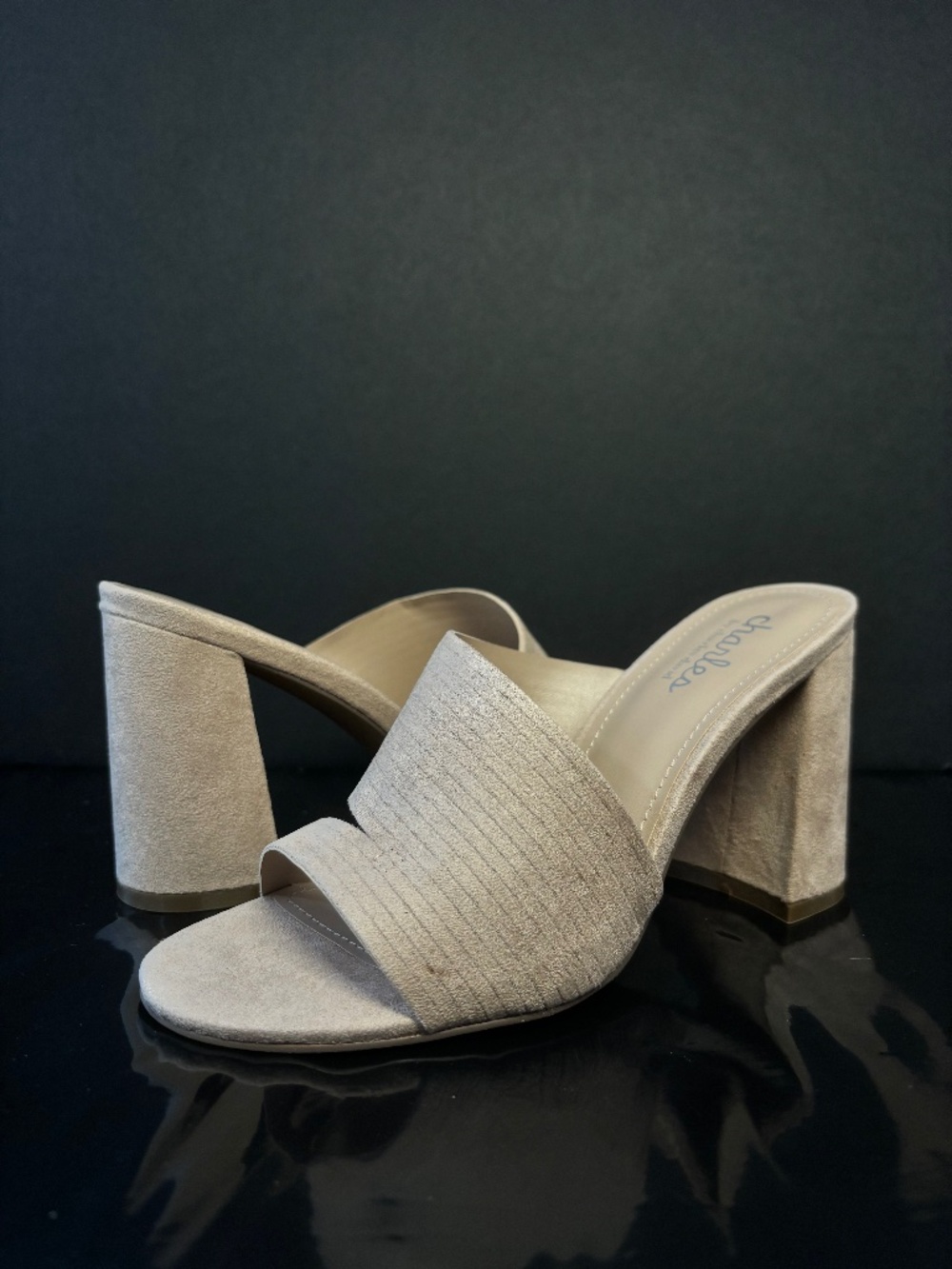 Charles by Charles David NWOB Block Heel Slide Textured Size 6M